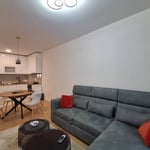 Аренда новой, меблированной 2-комнатной квартиры, 46 м², Новый Белград, Сербия